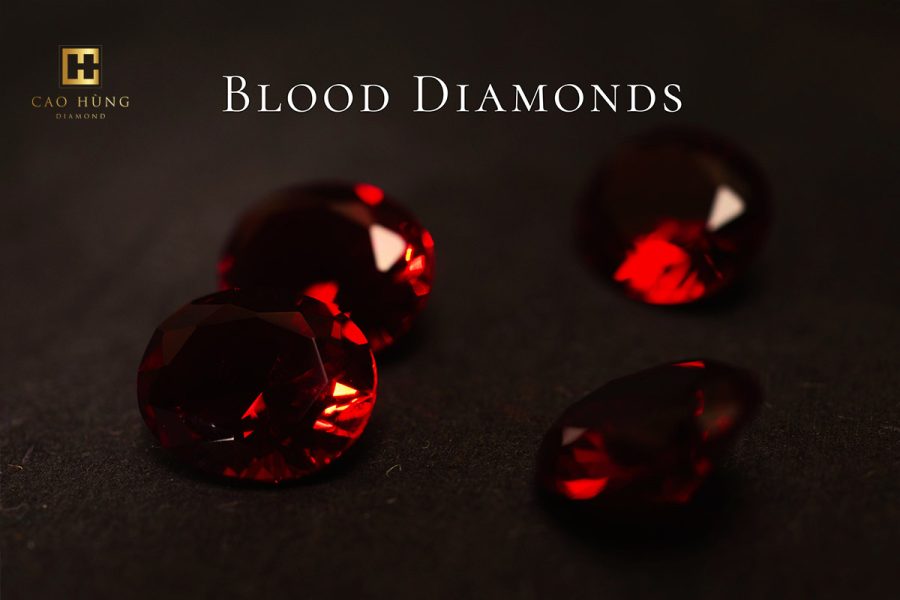Cuộc chỉ trích và điều tra liên quan đến “kim cương máu”